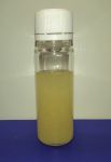 Argool +   10 ml (směs kosmetických olejů se zlatým pudrem)